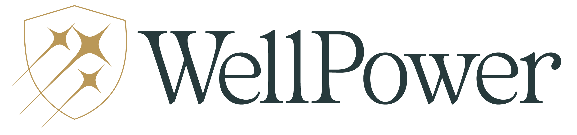 WellPower Practice